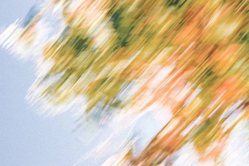 Coeliac, HLA DQ2 and HLA-DQ8 Genotyping biomarker illustration