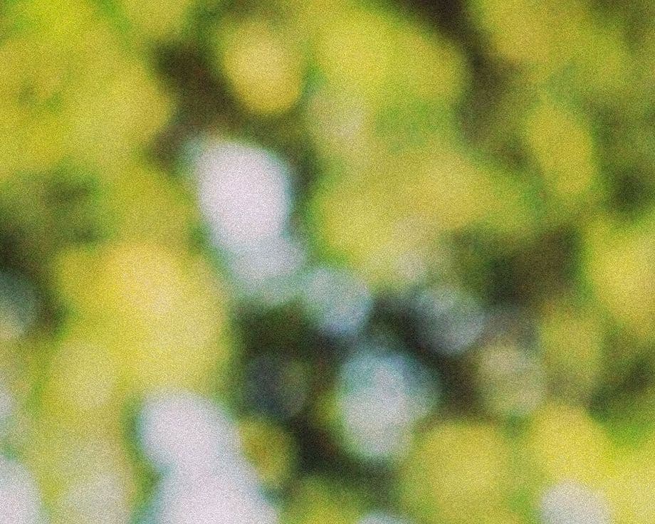 Red Cells, Urine biomarker illustration