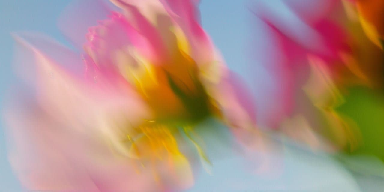 Testosterone, Total biomarker illustration